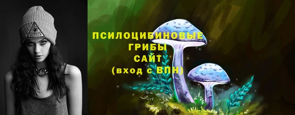 крисы Нефтегорск