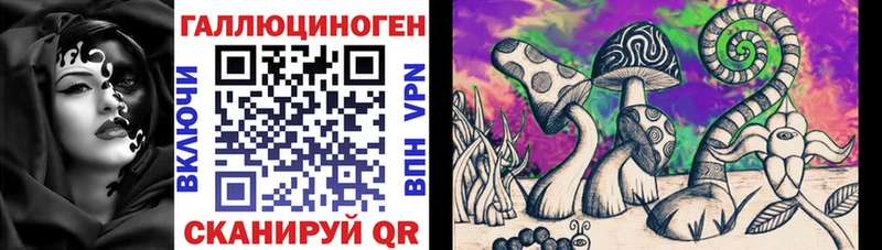 купить наркотик  Новотроицк  Галлюциногенные грибы MAGIC MUSHROOMS 