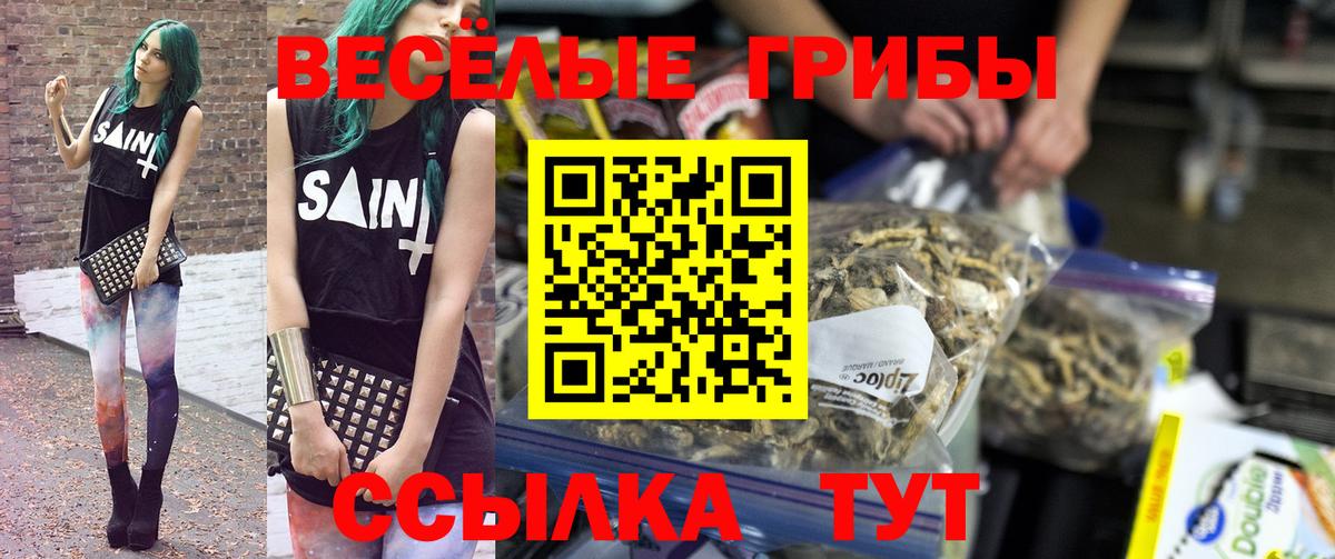 Новотроицк  Галлюциногенные грибы прущие грибы  продажа наркотиков  Вход с VPN 